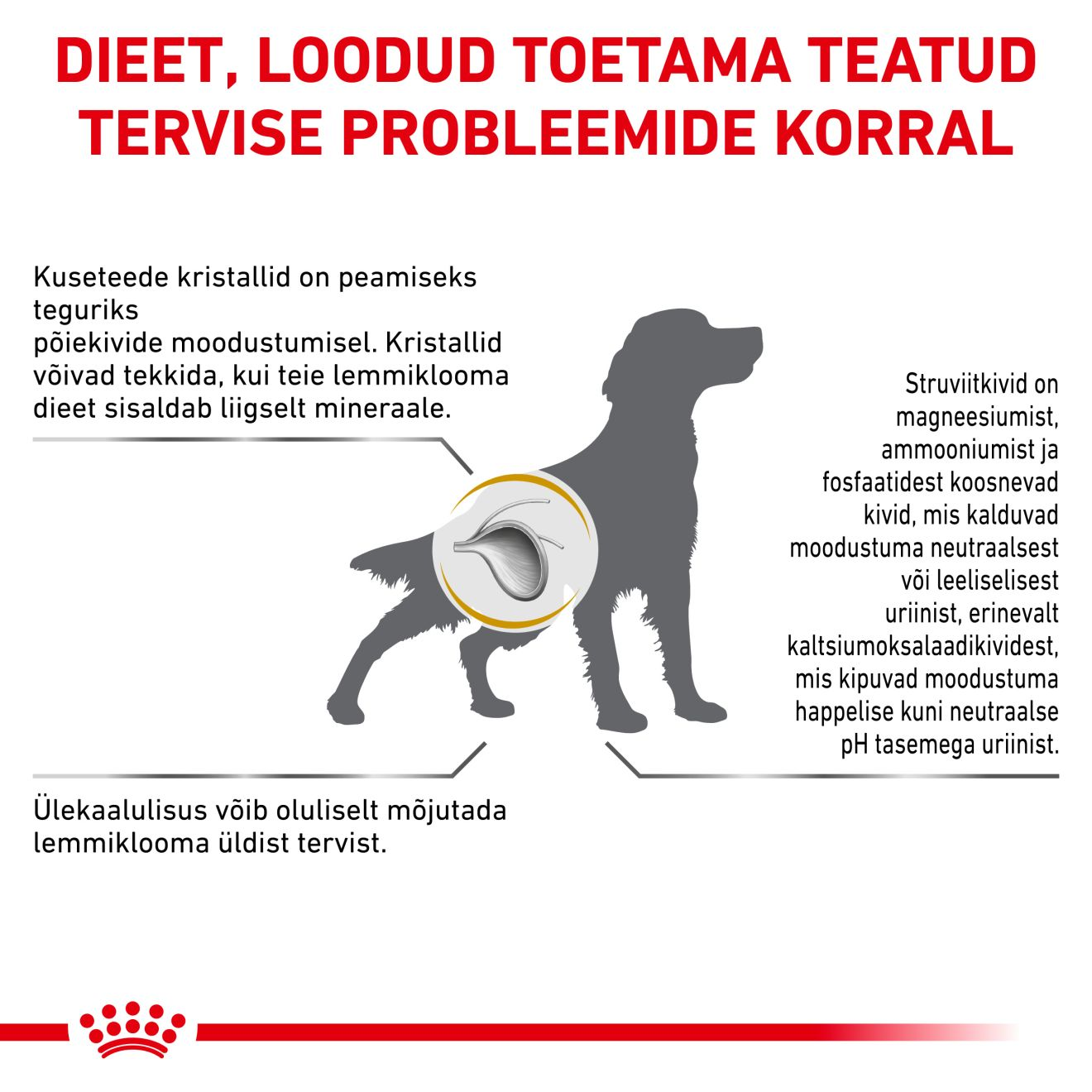 Royal Canin Urinary S/O Moderate Calorie Dog kuivtoit