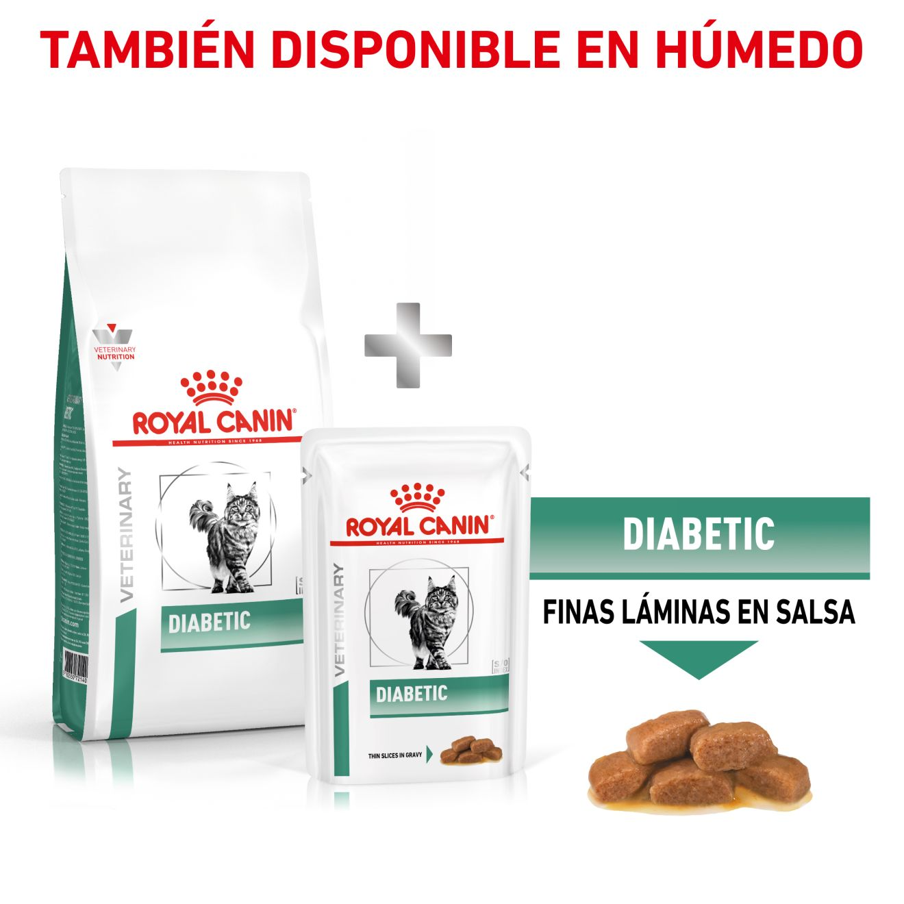 Diabetic