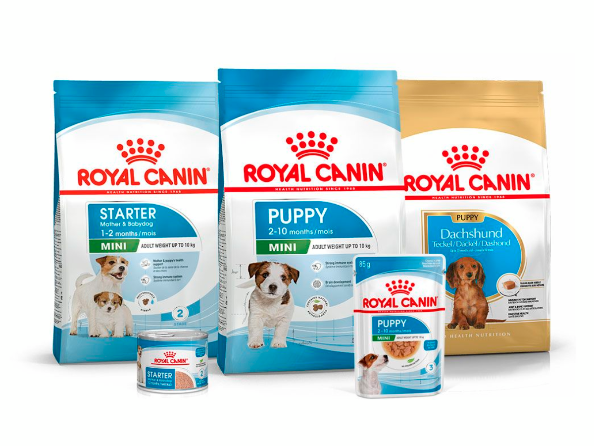 Croquettes et patées pour chat Royal Canin