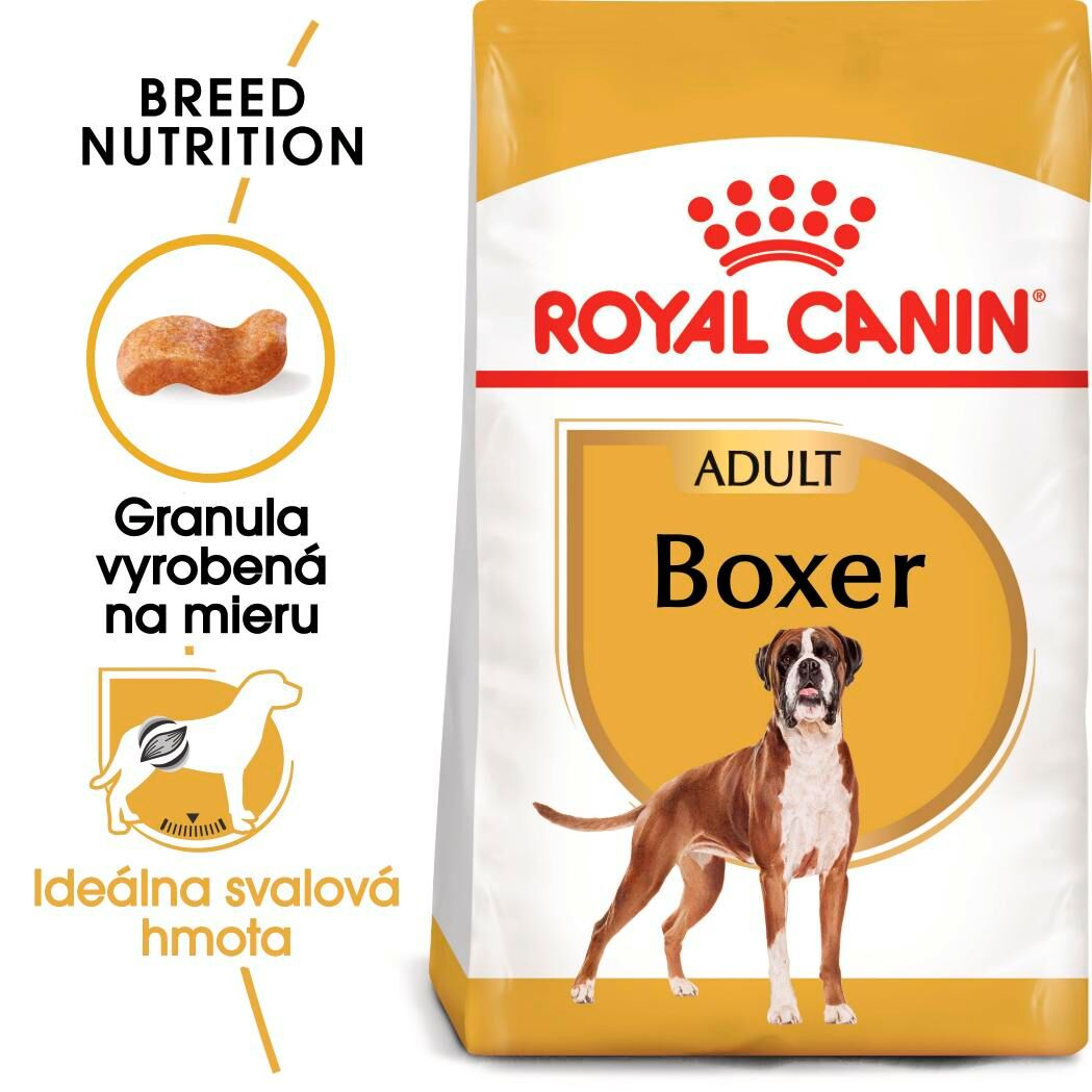 BOXER Adult