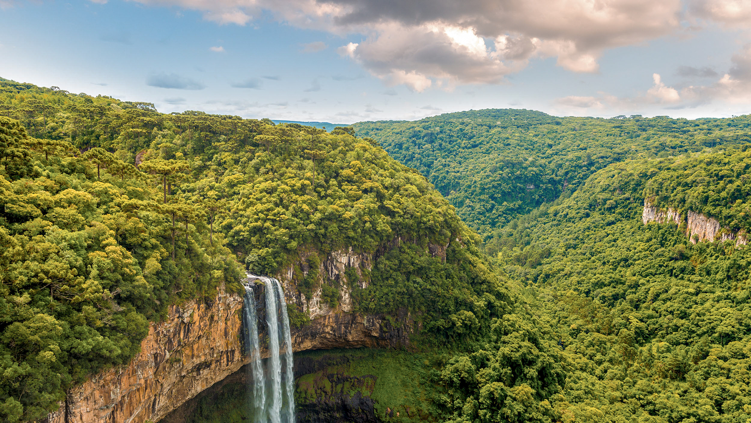 Green forest and waterfall