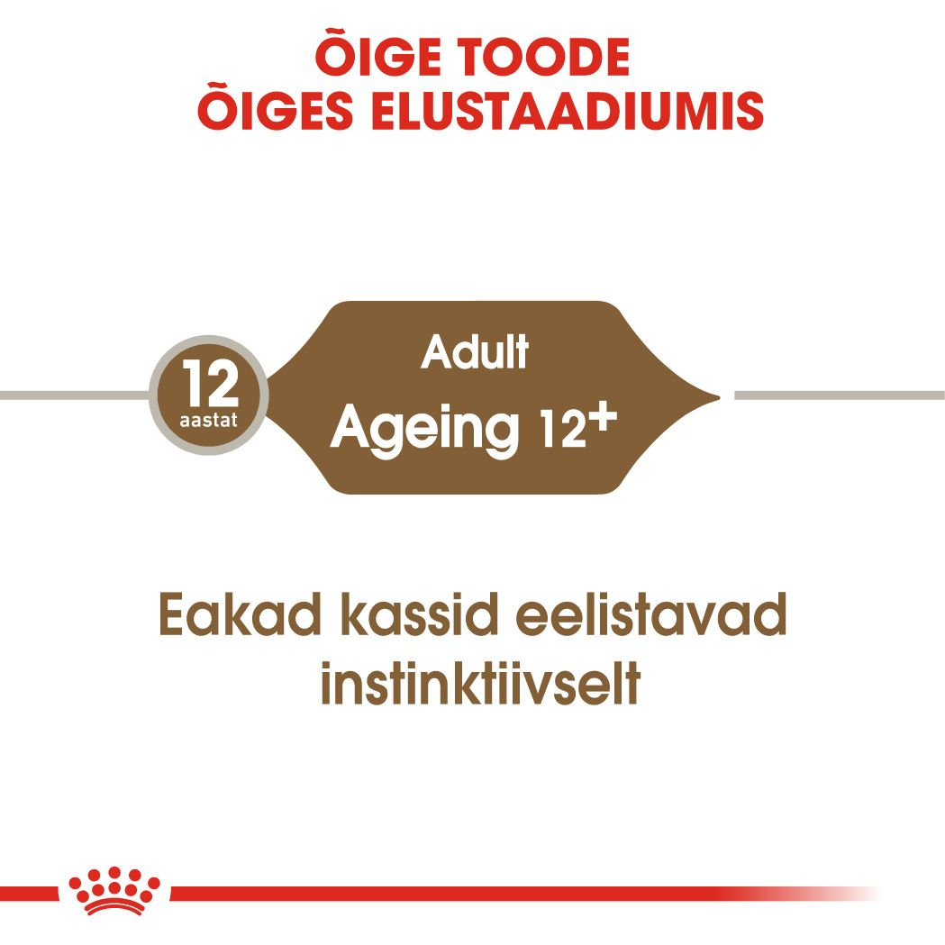 Royal Canin Ageing 12+ konserv (õhukesed viilud želees)