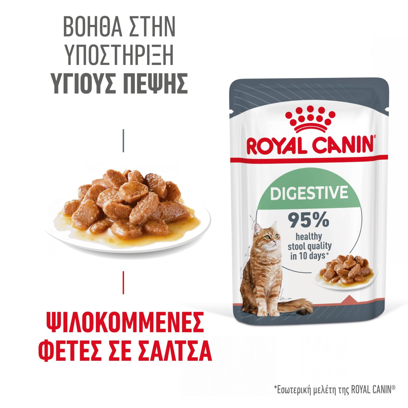 DIGESTIVE CARE Λεπτές φέτες σε σάλτσα