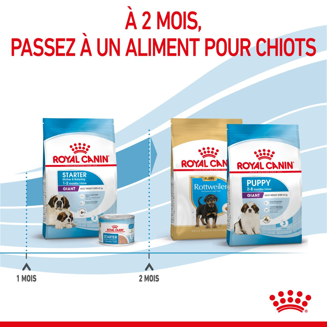 Giant Starter Mother & Babydog pour chiot