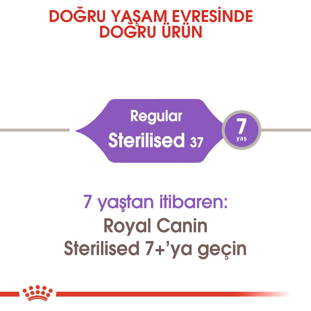 Sterilized 37 royal outlet canin