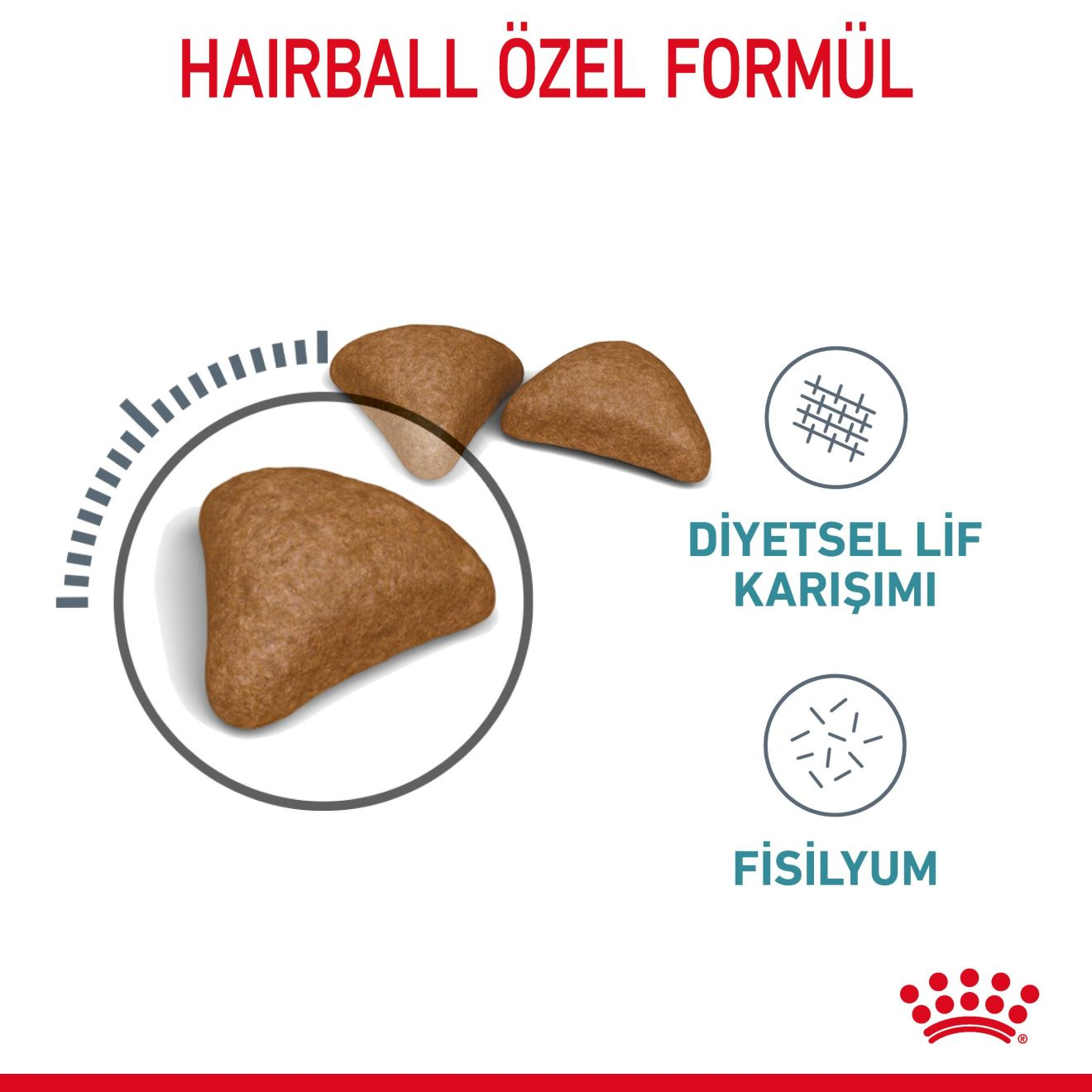 Hairball Care Yetişkin Kedi Kuru Maması