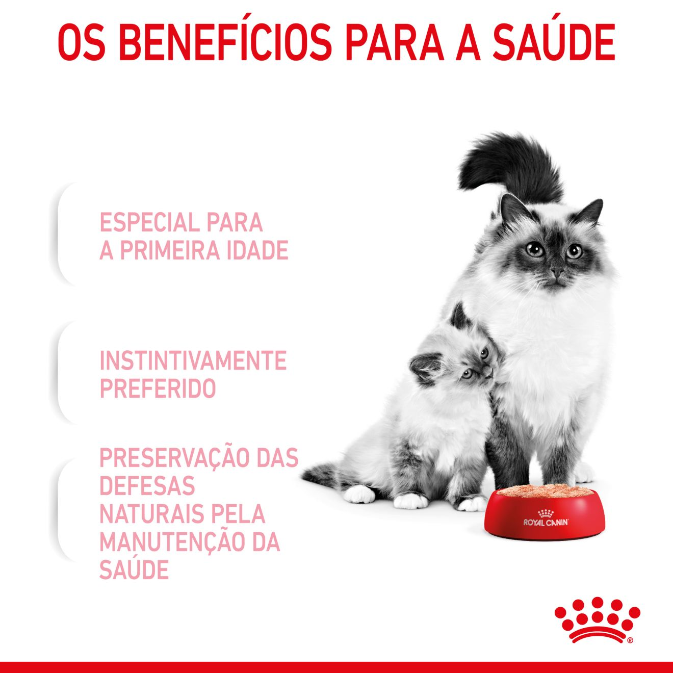 MOTHER & BABYCAT Ultra soft mousse