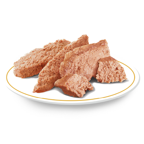 Yorkshire Terrier - Alimento úmido 