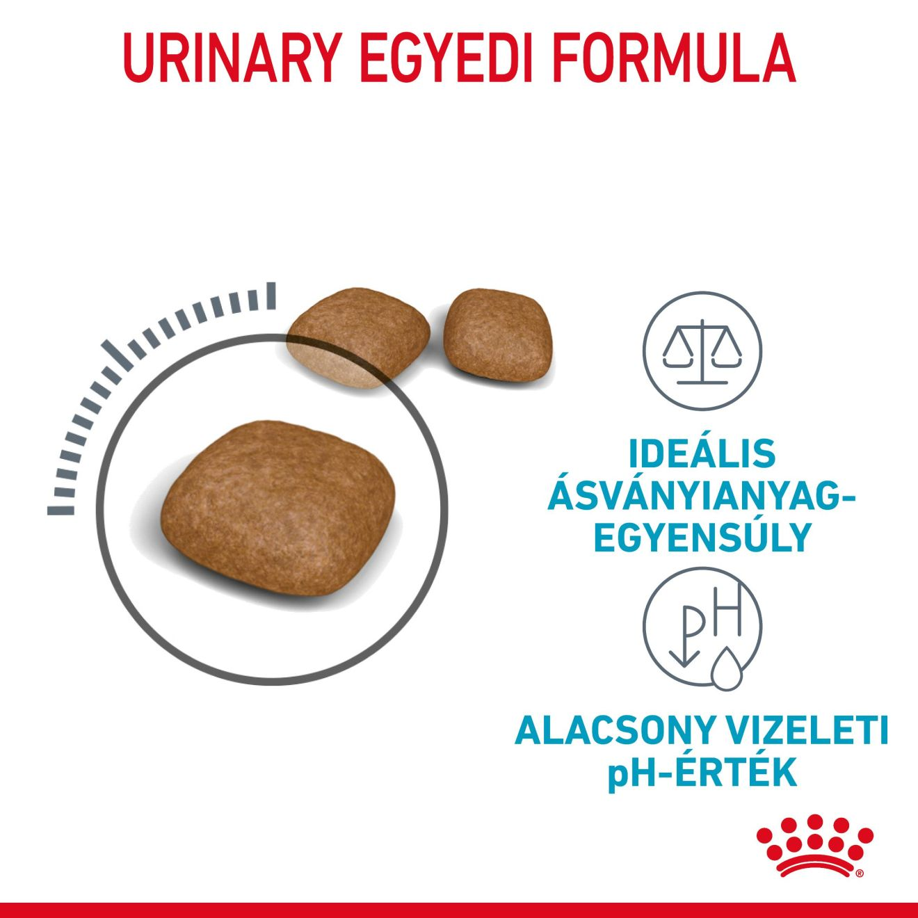 Urinary Care