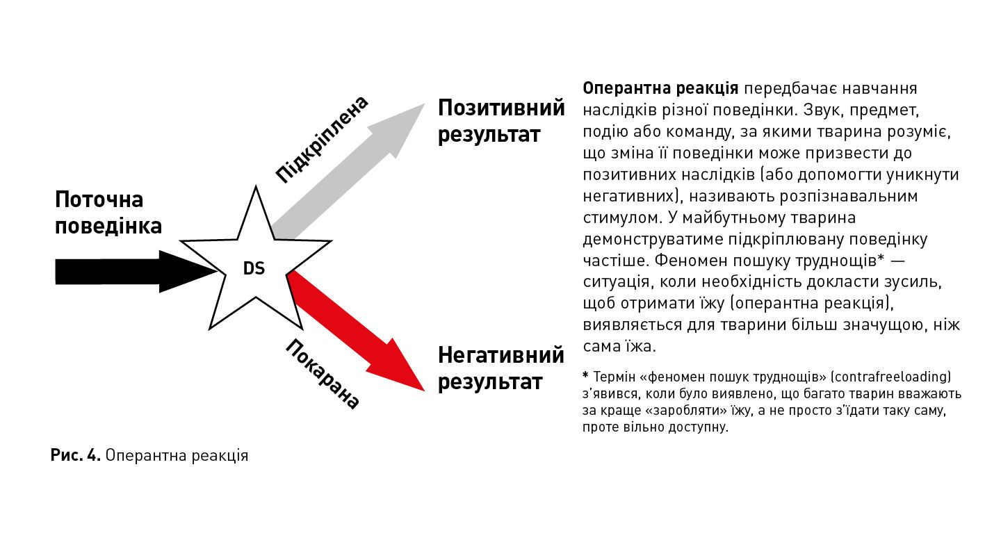 Рис.4. Оперантна реакція.Оперантна реакція полягає у здатності тварини навчатися наслідкам різної поведінки.