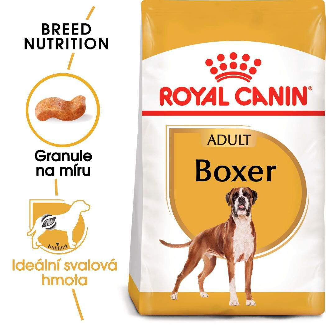 BOXER Adult