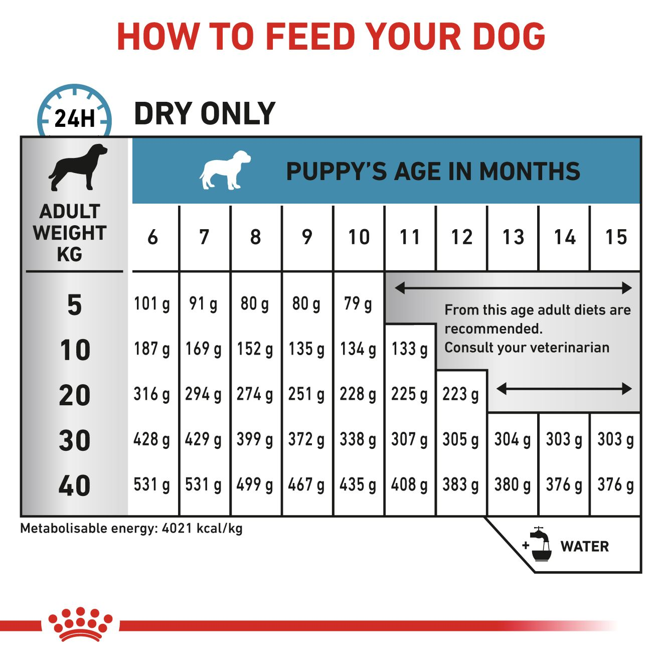 Derma Hypoallergenic Puppy