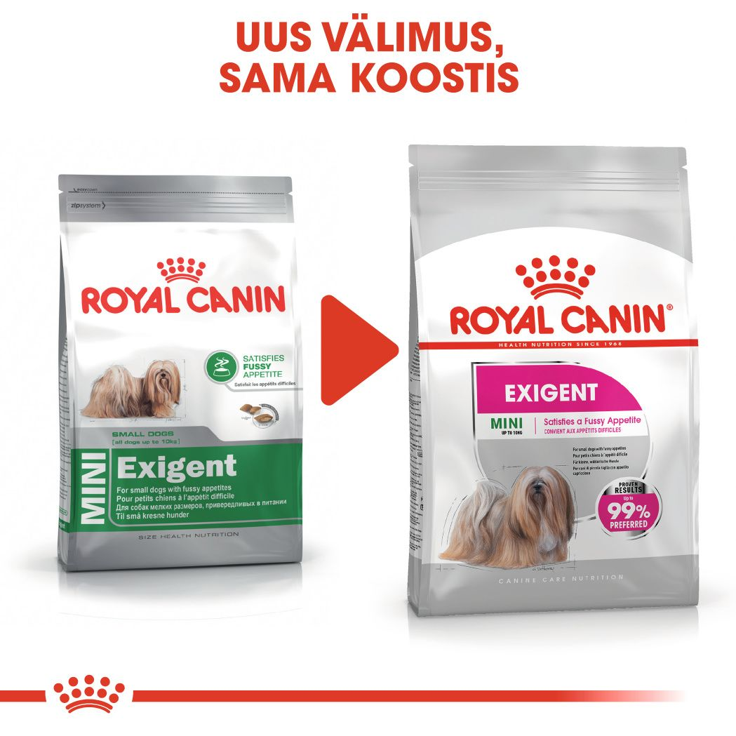 Royal Canin Mini Exigent kuivtoit