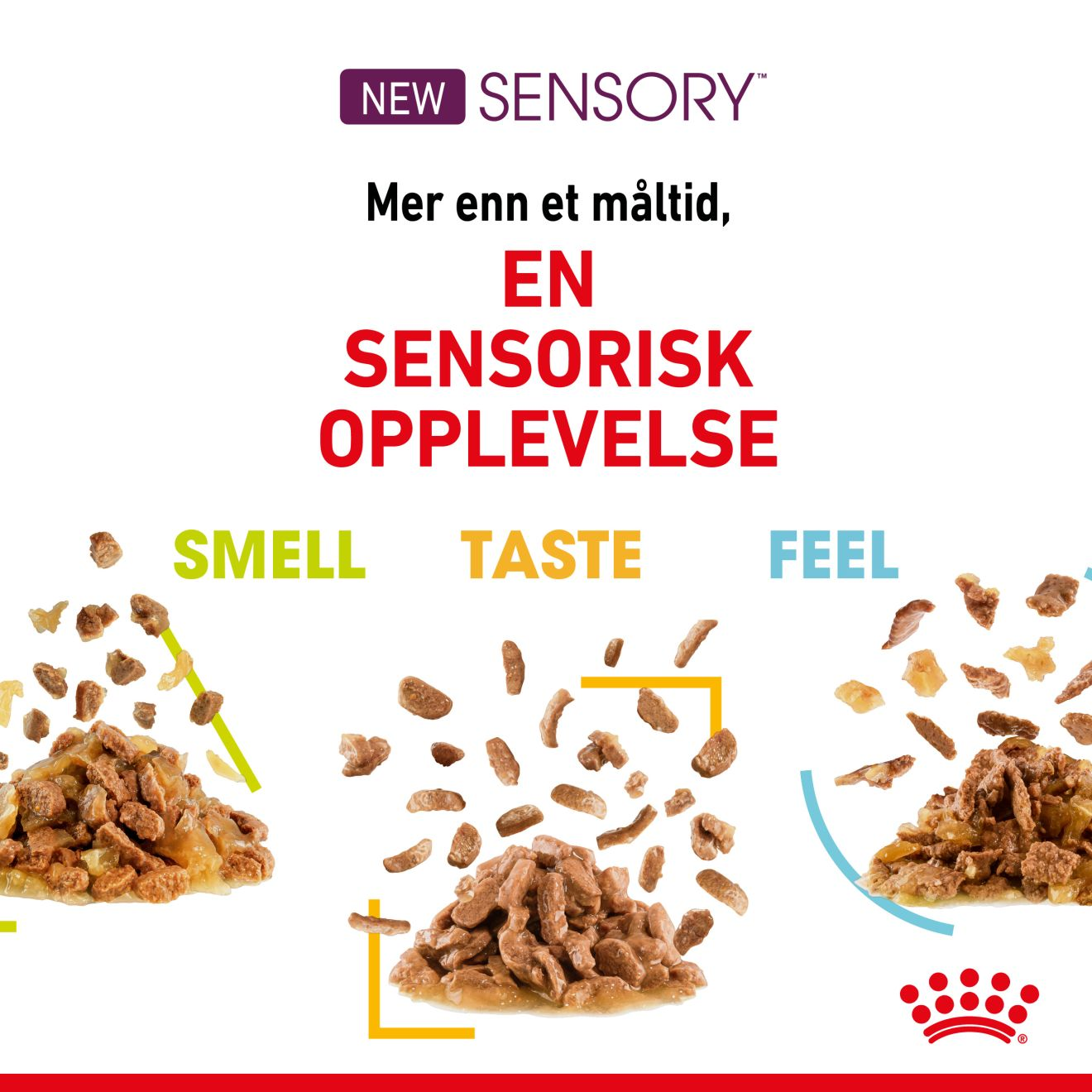Sensory Smell Taste Feel Gravy Adult 