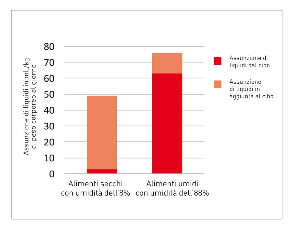 Spożycie płynów przez koty żywione karmą suchą i mokrą 8 Dzienne spożycie wody w ml na kg masy ciała kota Spożycie wody pochodzącej z karmy Dodatkowe spożycie wody Karma sucha o wilgotności 8% Karma mokra o wilgotności 88%