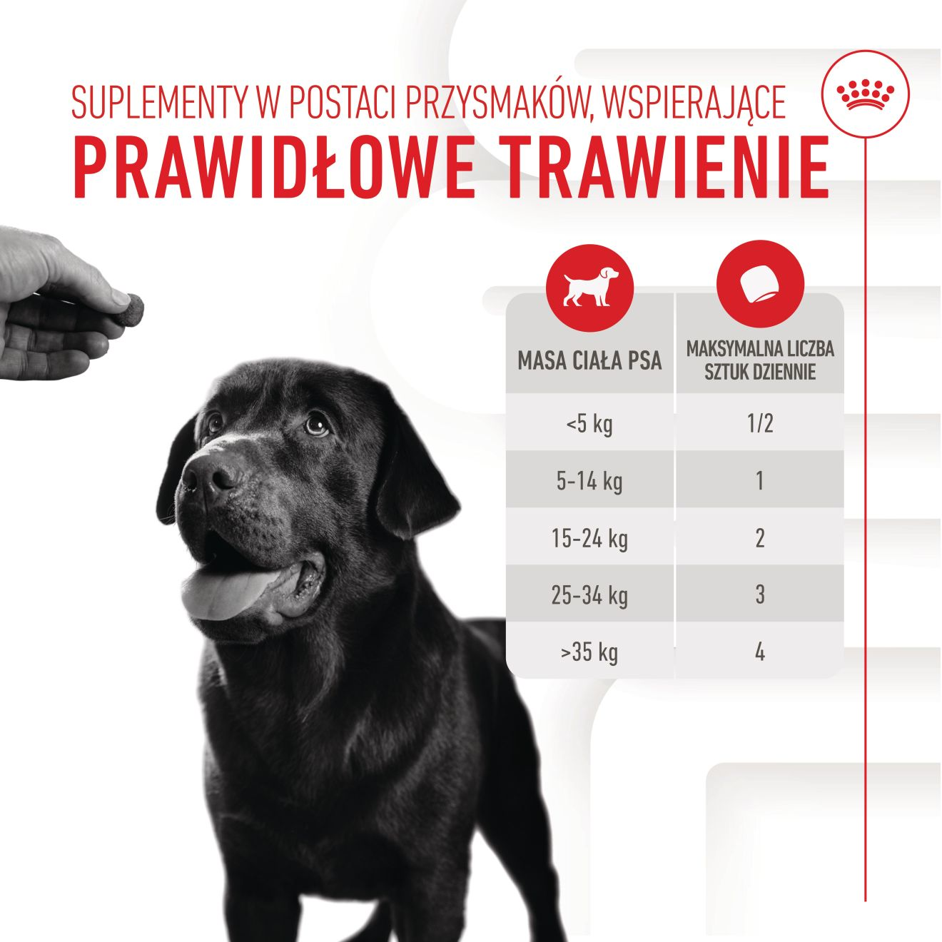 Supplements Dog Digestion Adult