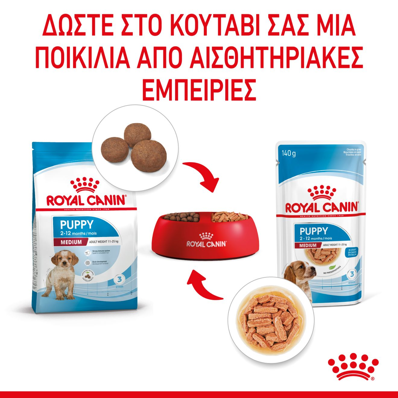 PUPPY - MEDIUM - Κομματάκια σε σάλτσα 
