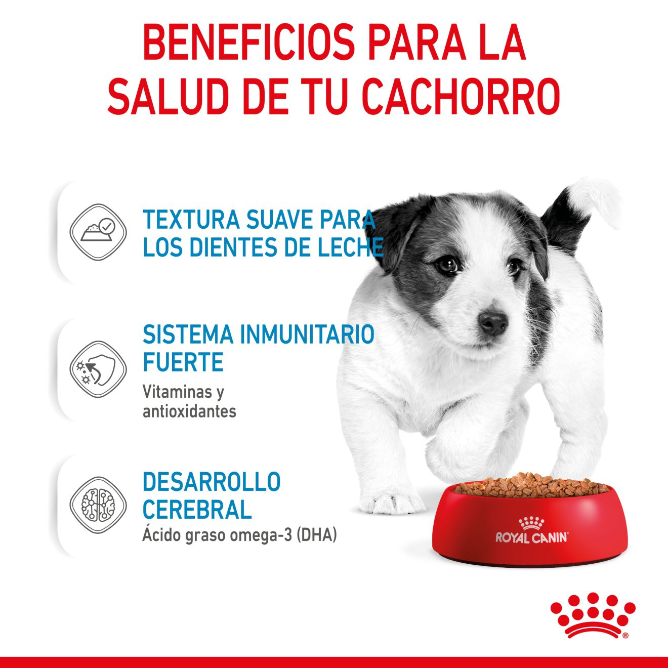 PUPPY - MINI - Trocitos en salsa