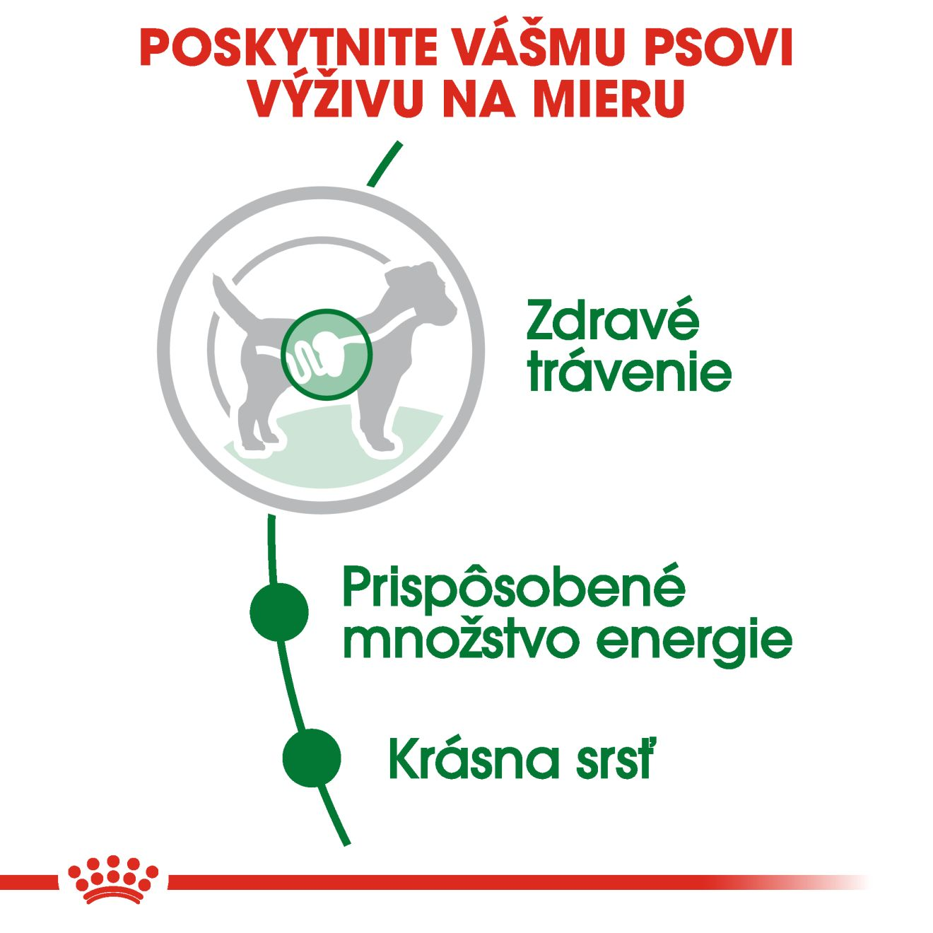 ROYAL CANIN Mini Adult kapsička v šťave pre dospelých psov malých plemien