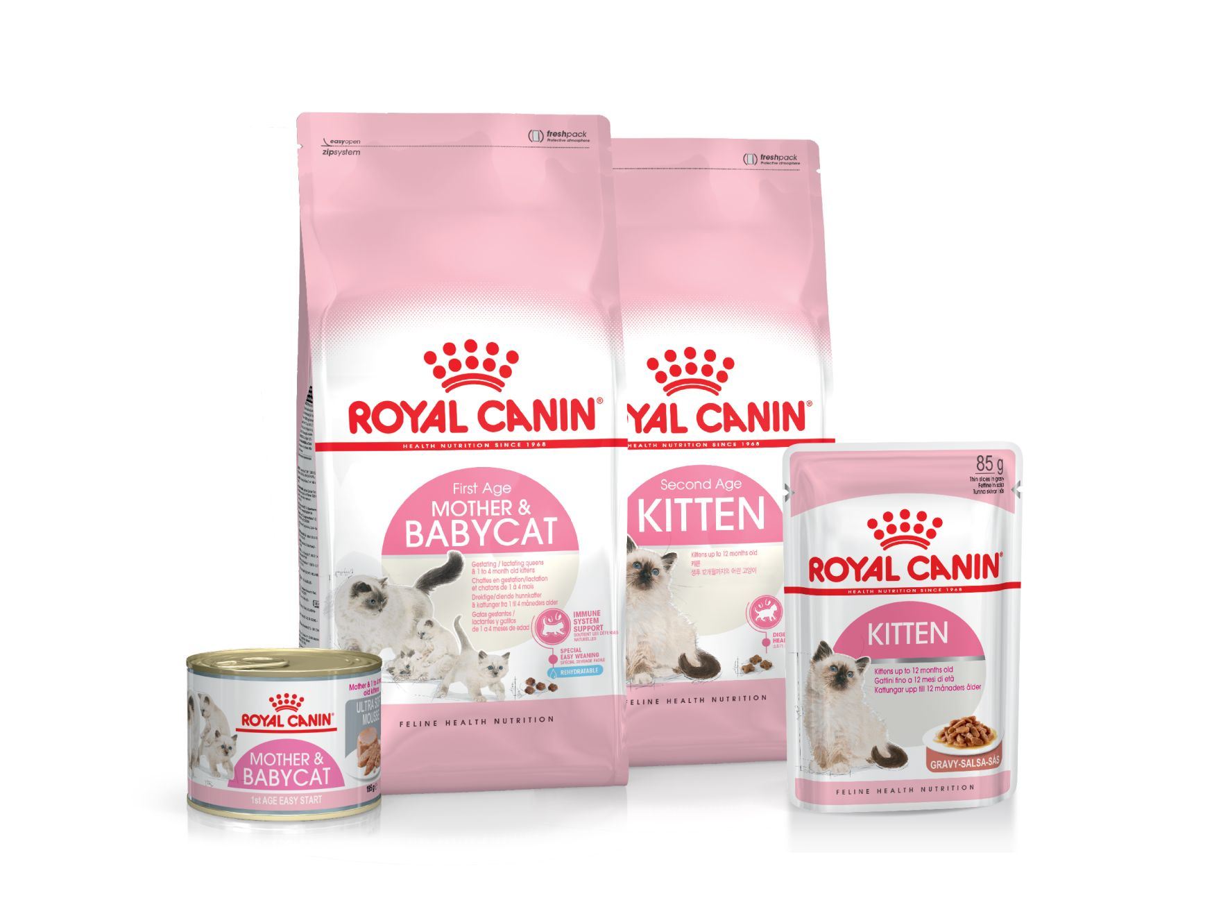 Kitten product range pack shot