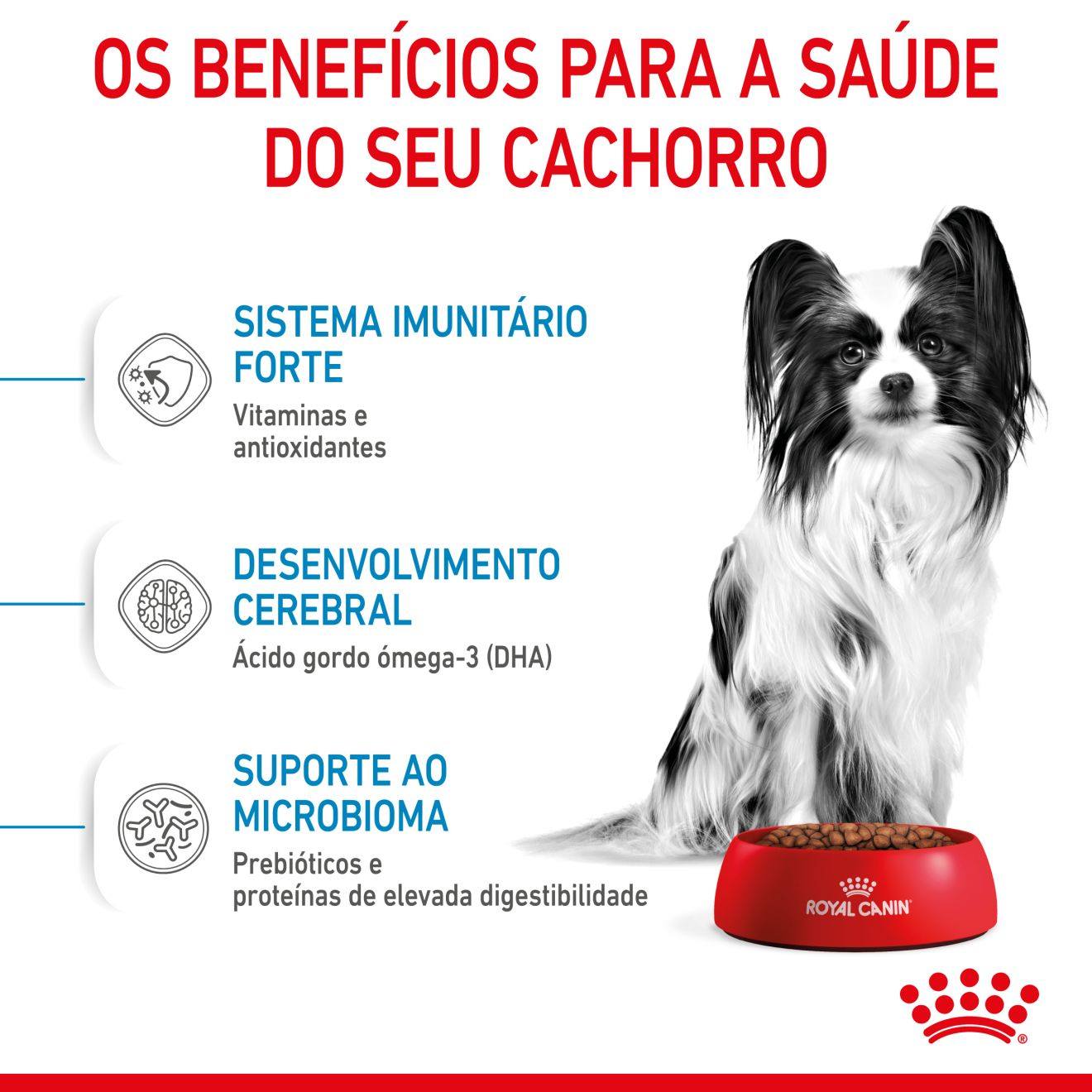 Royal Canin X Small Puppy  Ração para Cachorro de Raça Pequena Tamanho da  Embalagem 500gr