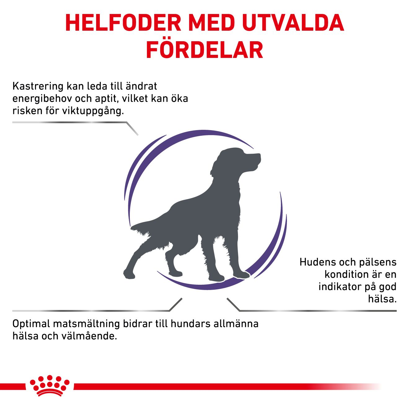 Health Neutered Adult 