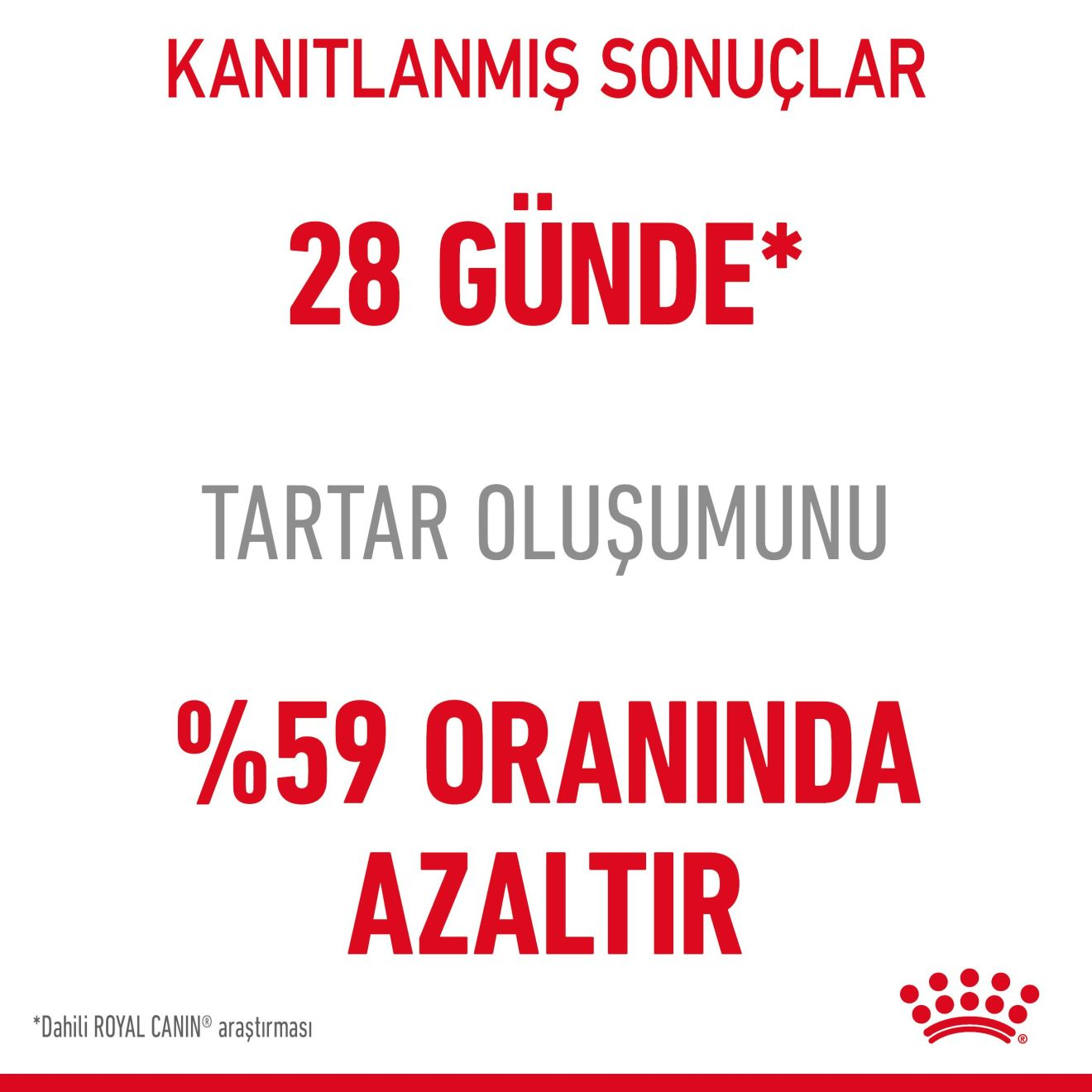 Dental Care Yetişkin Kedi Kuru Maması