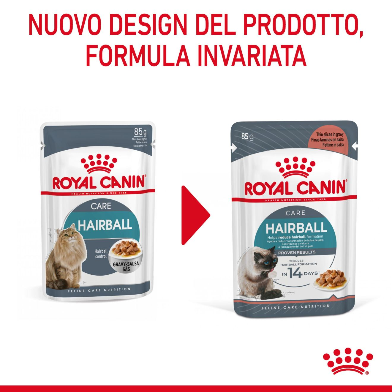 Hairball Care in salsa