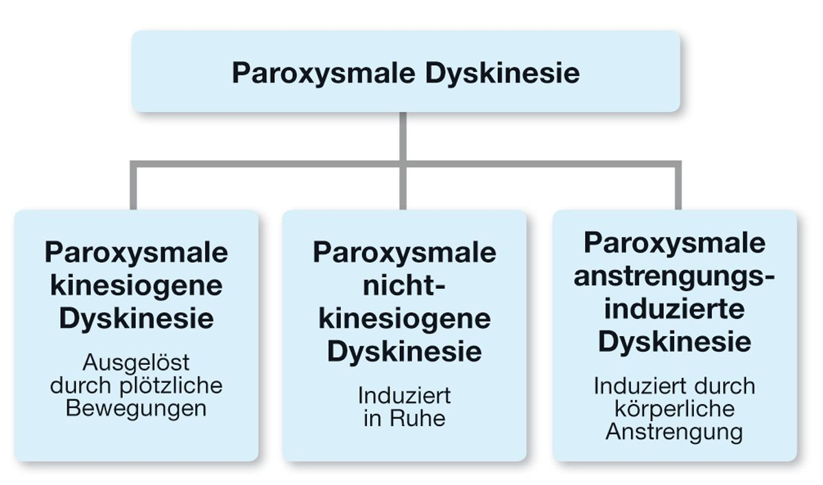 Bei Hunden werden verschiedene Formen paroxysmaler Dyskinesien beschrieben. Es kann sinnvoll sein, diese nach auslösender Ursache zu klassifizieren.
