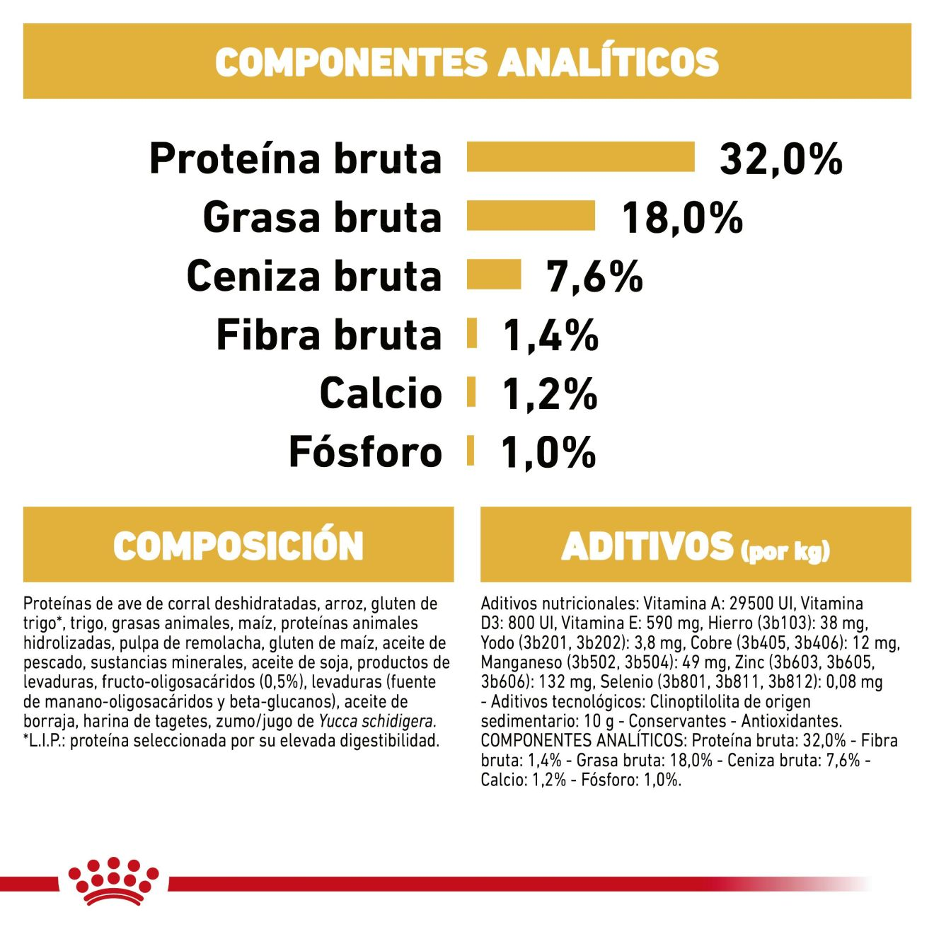 Jack Russell Terrier Puppy