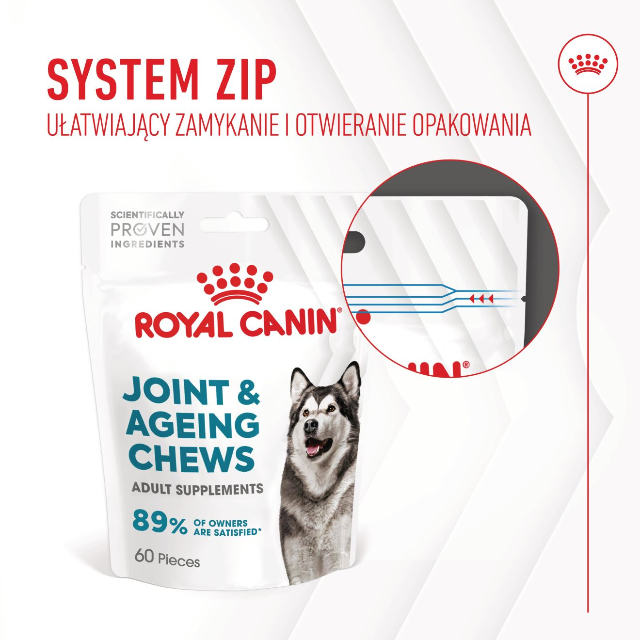 Supplements Dog Joint & Ageing Adult