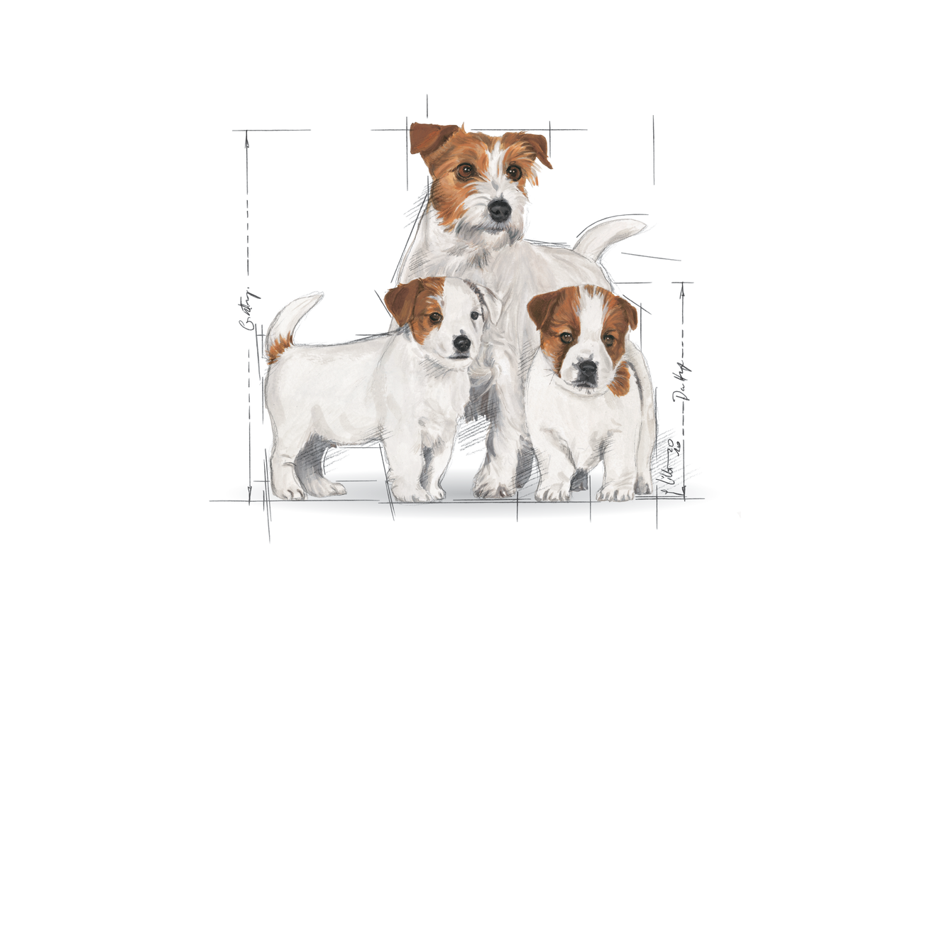 MNS 小型離乳犬與母犬專用乾糧