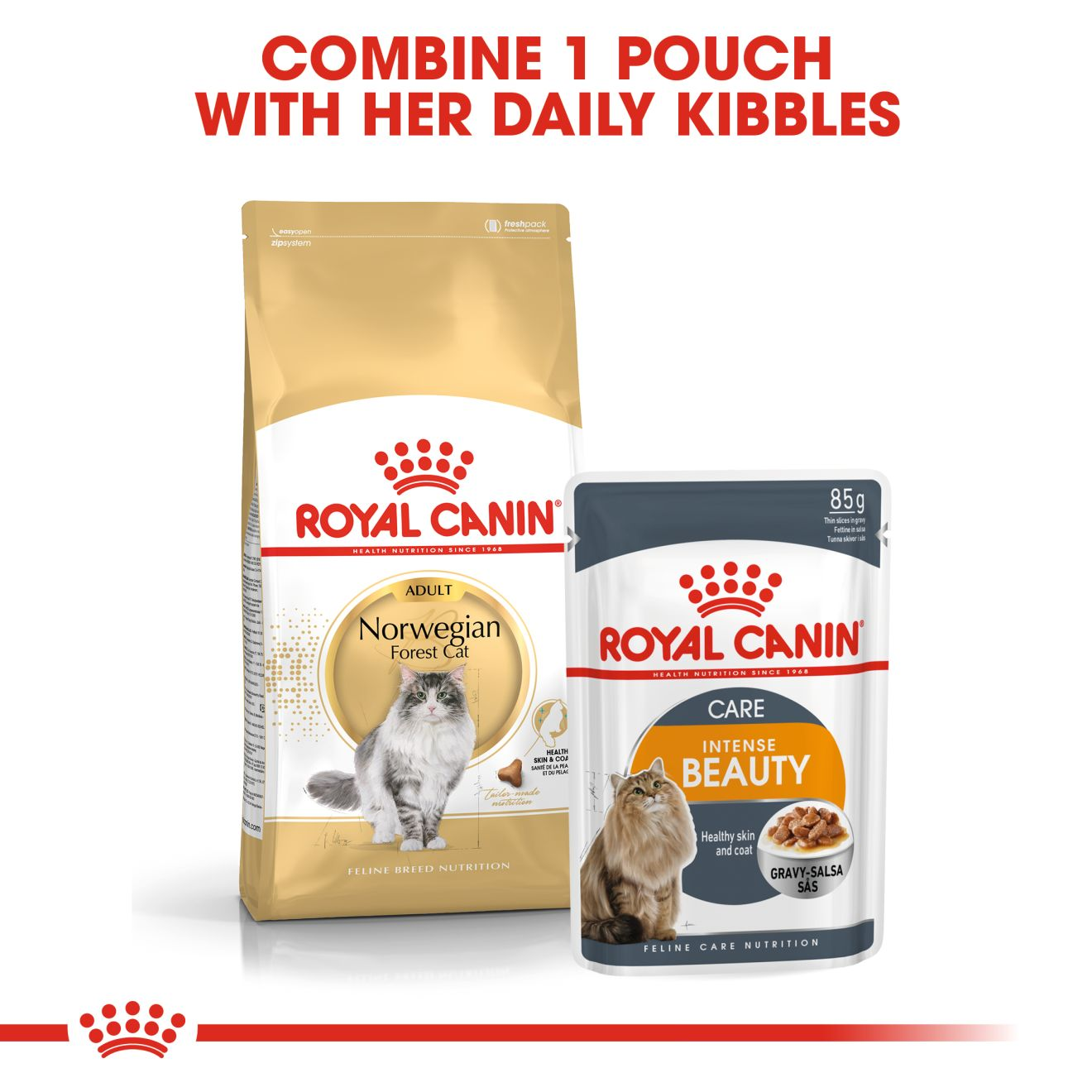 royal canin norwegian forest cat food