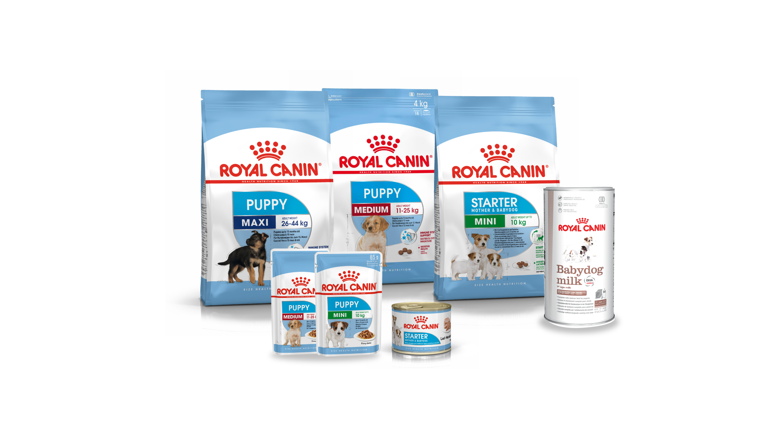 Ghid De Vaccinare Pentru Caini Royal Canin Royal Canin