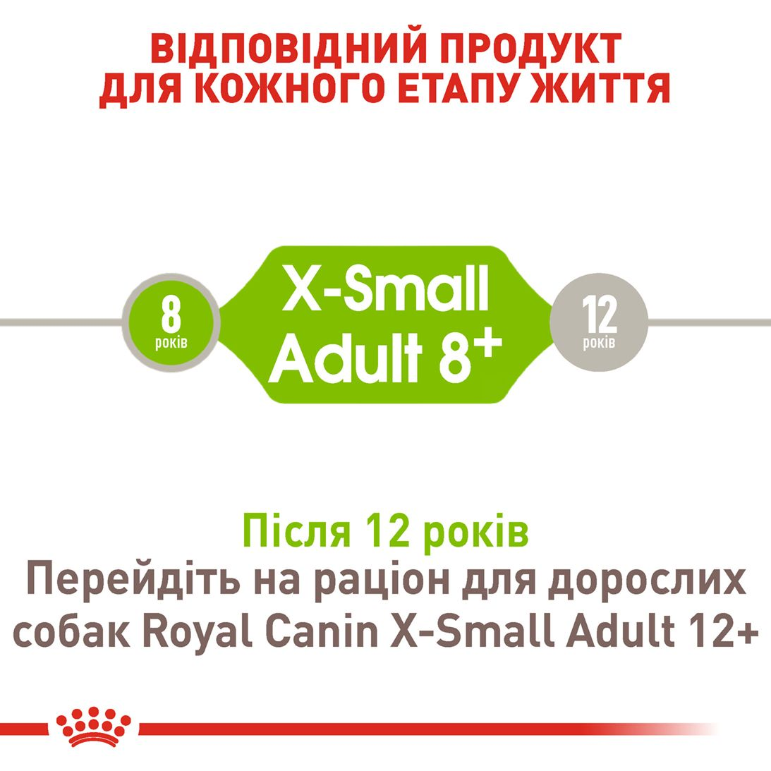 X-Small Adult 8+
