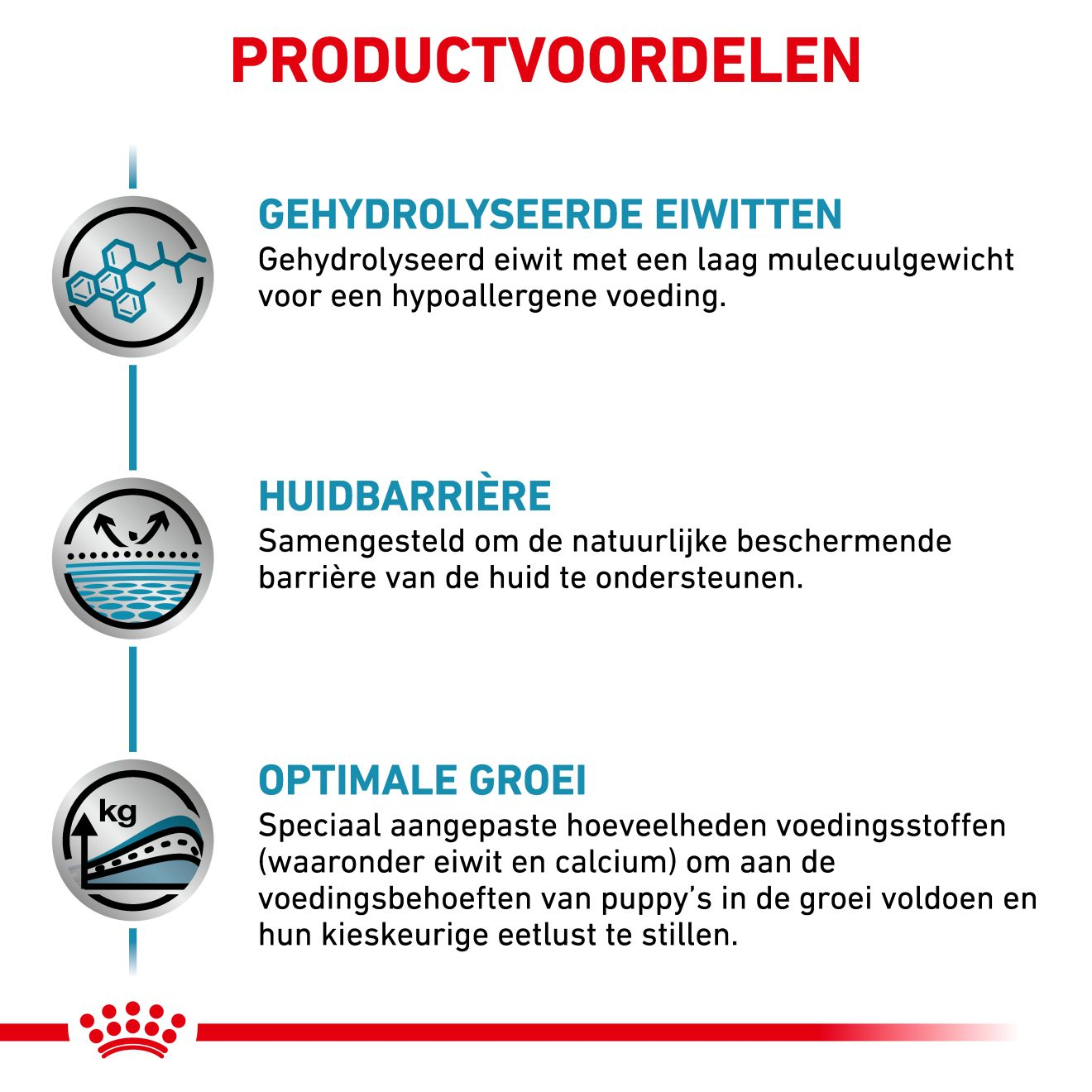 Hypoallergenic Puppy