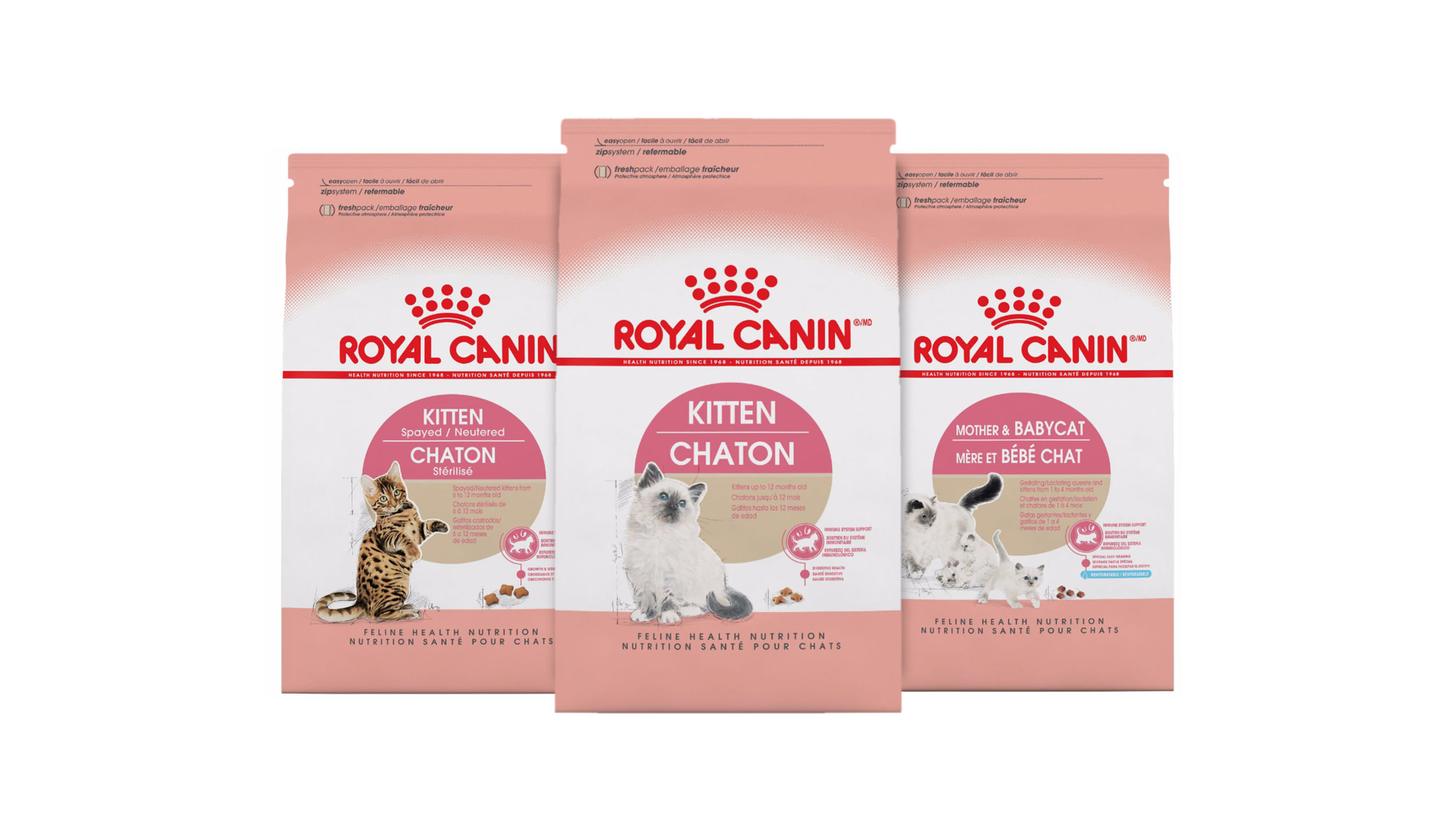 Ein Produktfoto von verschiedenen ROYAL CANIN Nahrungen für Kitten