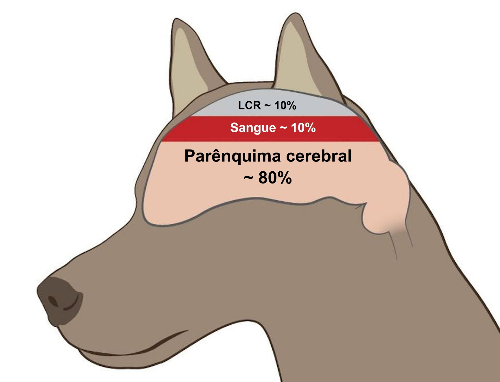 Princípio de Monro-Kellie