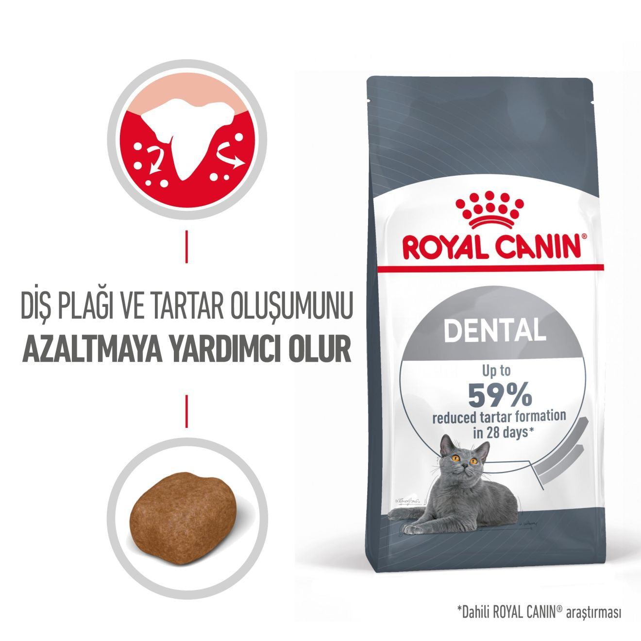 Dental Care Yetişkin Kedi Kuru Maması
