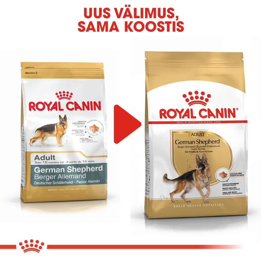 Royal Canin German Shepherd Adult kuivtoit