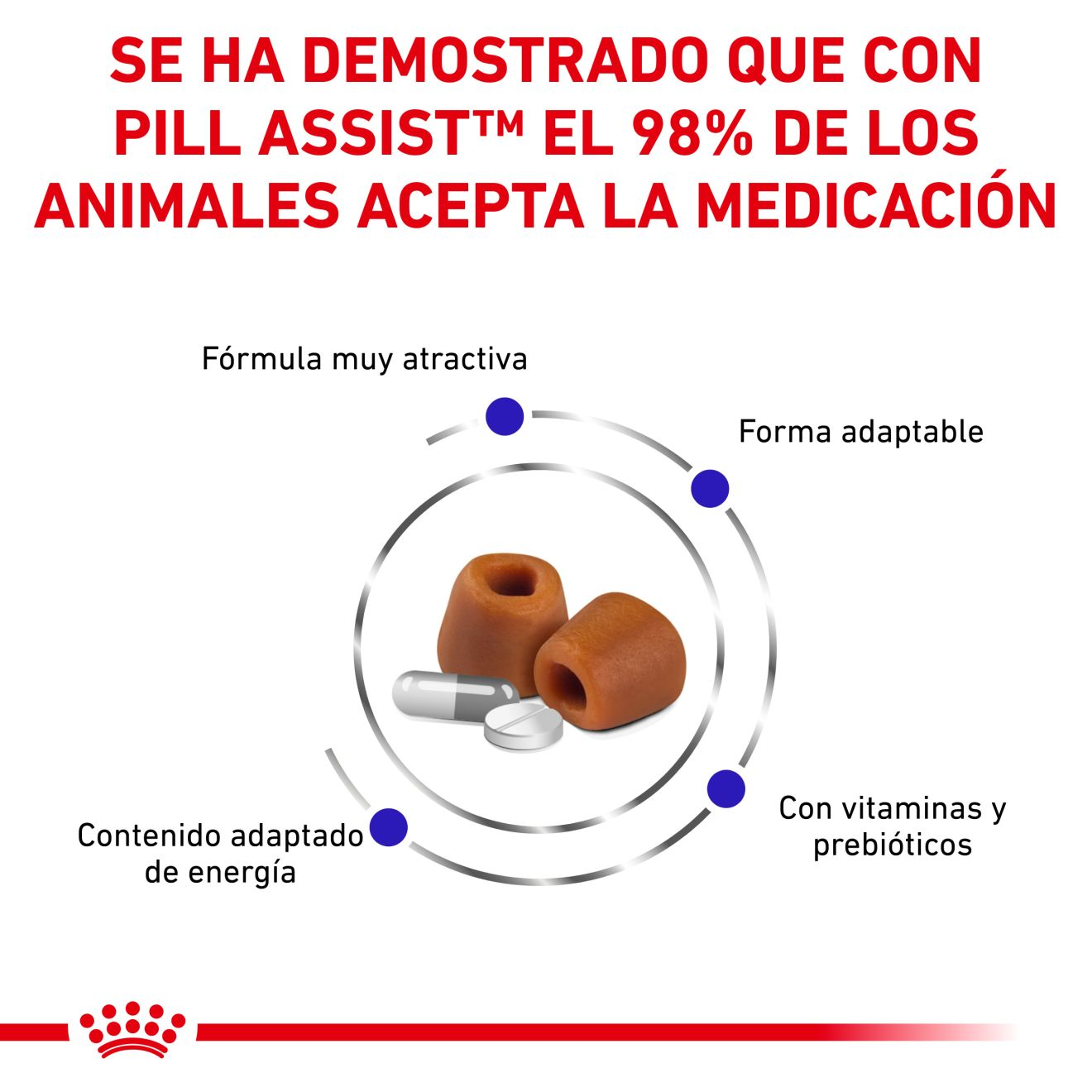 Pill Assist Small Dog