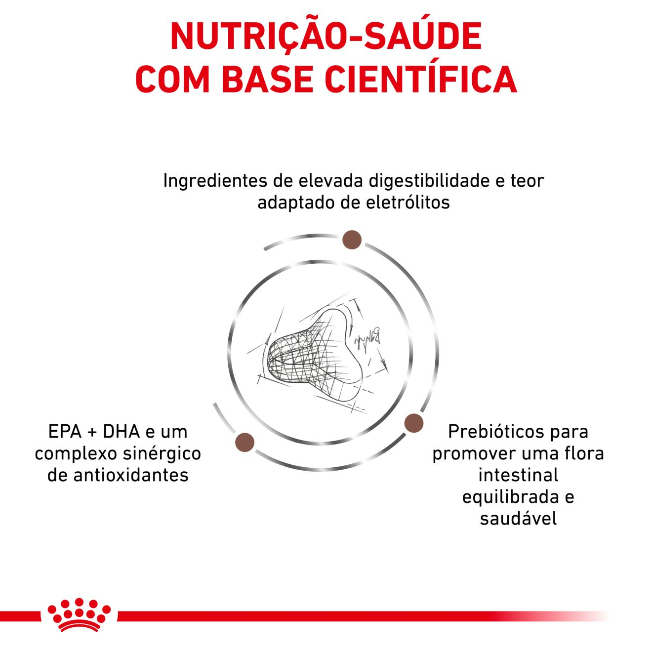 Gastrointestinal Fibre Response | Royal Canin PT