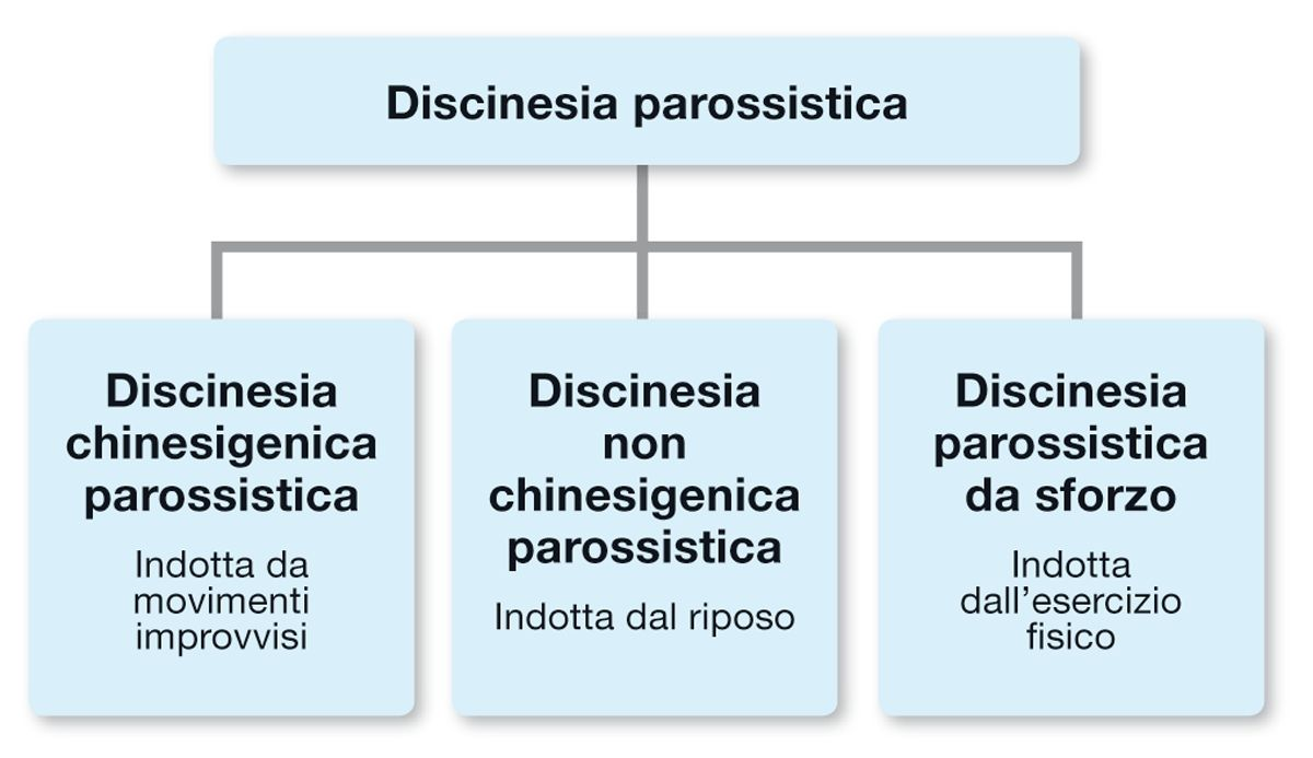 Nei cani sono stati descritti diversi tipi di discinesia parossistica e può essere utile classificarli in base alla causa scatenante.