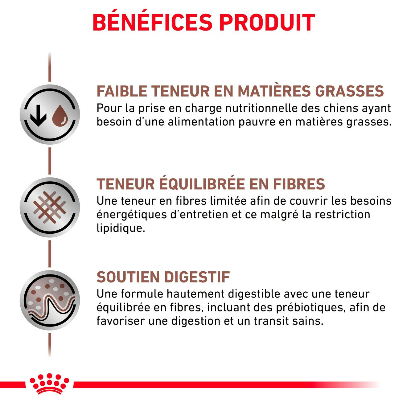 Gastrointestinal Low Fat Small Dog