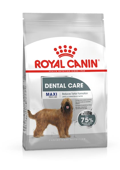 MAXI DENTAL CCN PACKSHOT