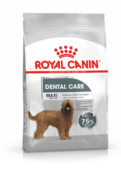 MAXI DENTAL CCN PACKSHOT