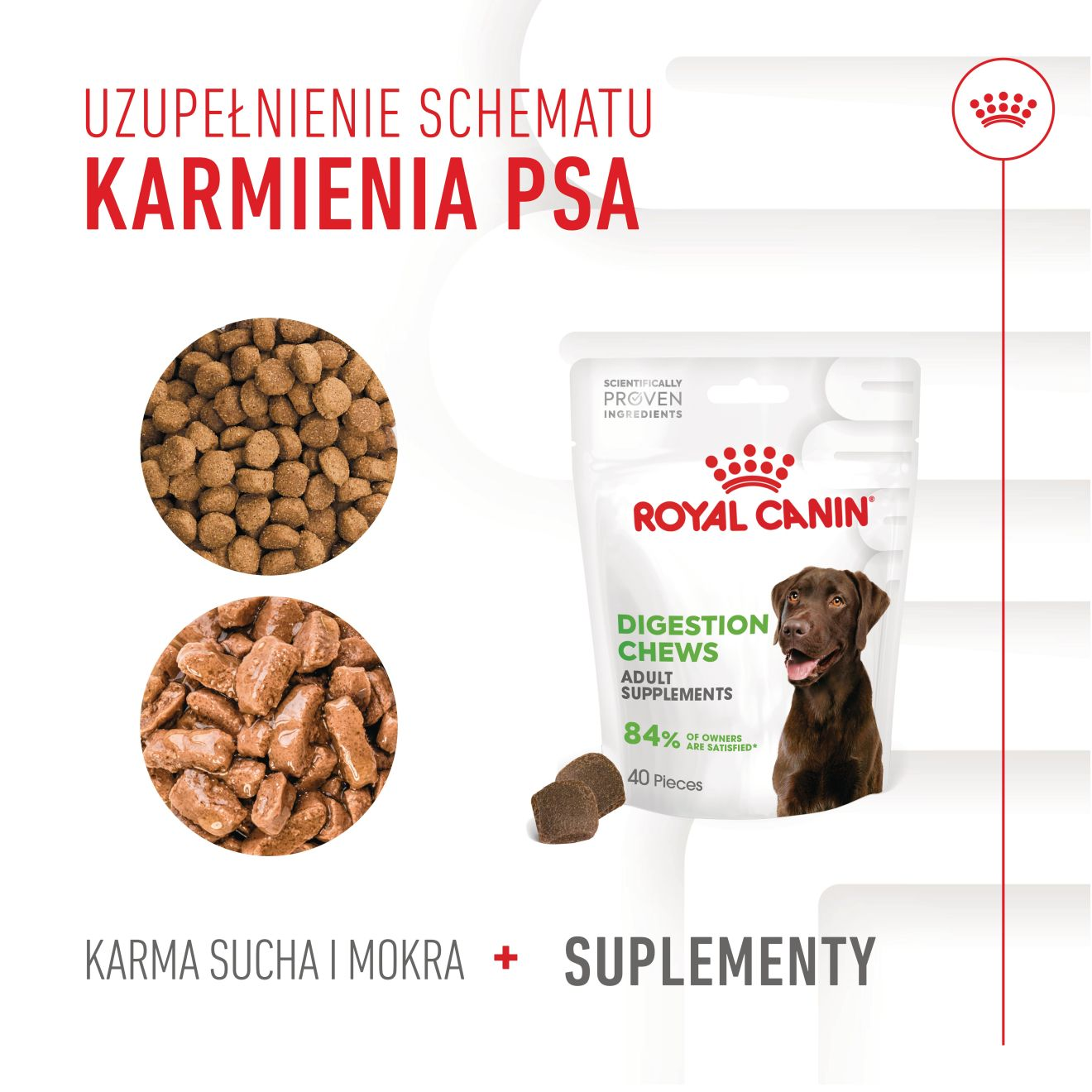 Supplements Dog Digestion Adult