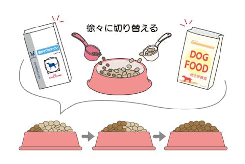 67_Japan_local_FAQ_Food switch.jpg