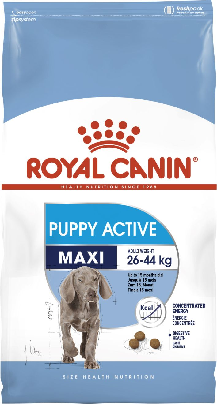 Royal canin maxi puppy active outlet professional