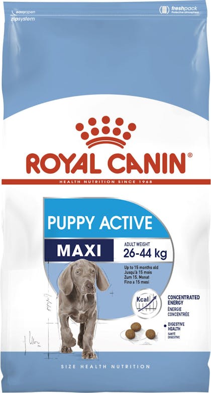 Royal canin puppy active maxi sale